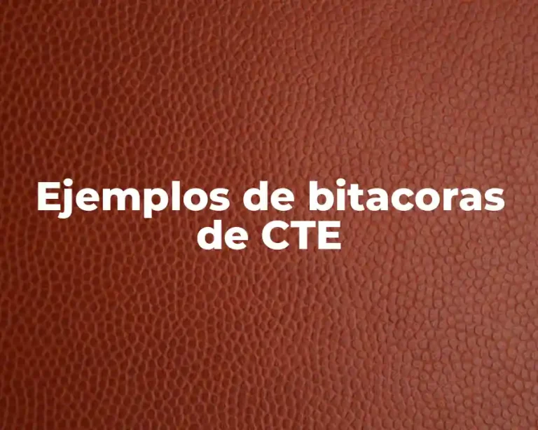 Ejemplos de bitacoras de CTE