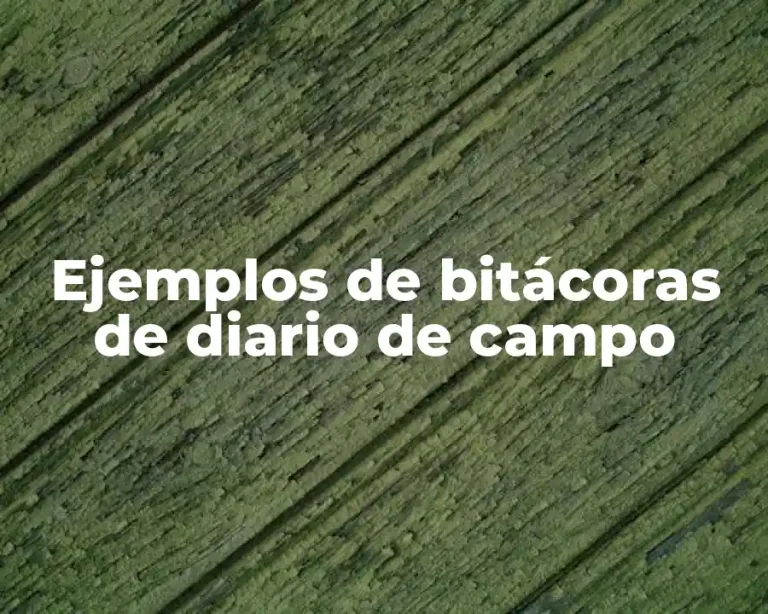 Ejemplos de bitácoras de diario de campo