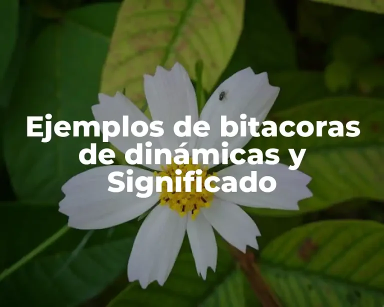Ejemplos de bitacoras de dinámicas y Significado
