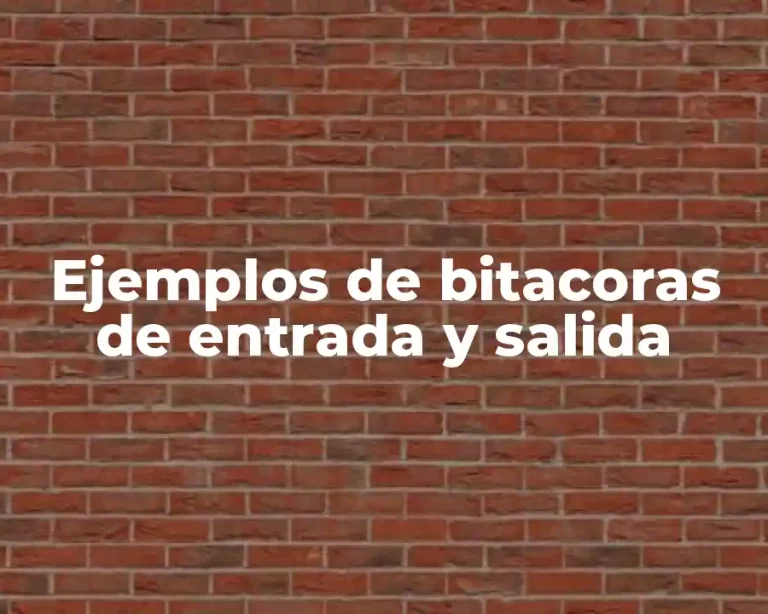 Ejemplos de bitacoras de entrada y salida