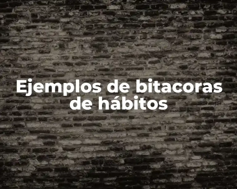 Ejemplos de bitacoras de hábitos