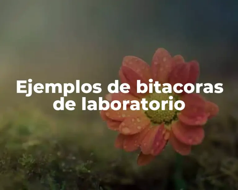 Ejemplos de bitacoras de laboratorio