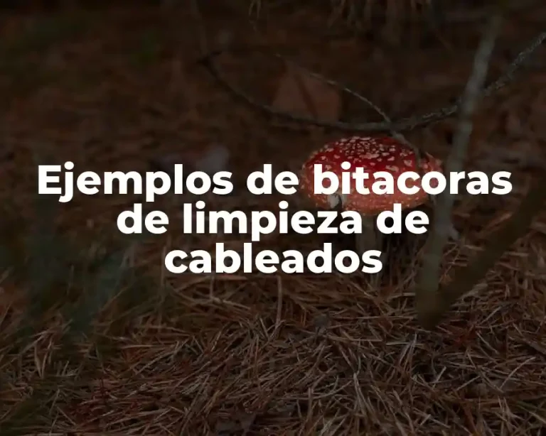 Ejemplos de bitacoras de limpieza de cableados