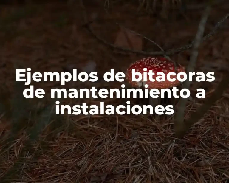 Ejemplos de bitacoras de mantenimiento a instalaciones