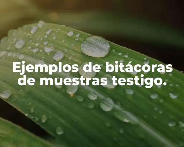 Ejemplos de bitácoras de muestras testigo.