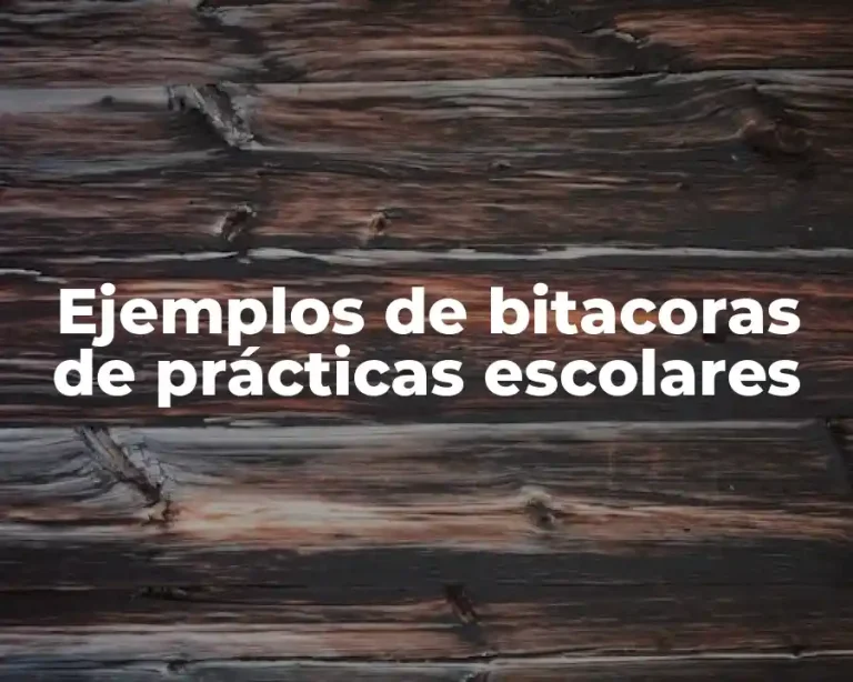 Ejemplos de bitacoras de prácticas escolares