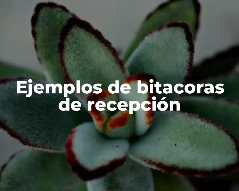 Ejemplos de bitacoras de recepción