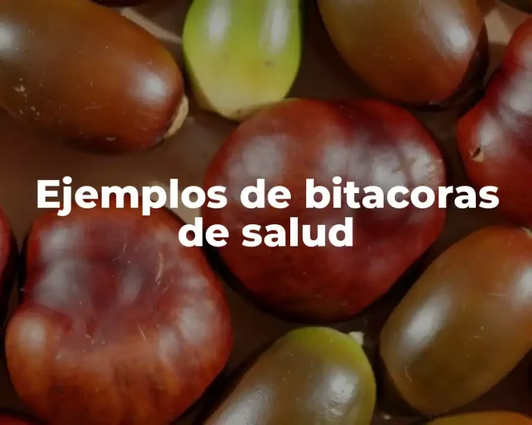 Ejemplos de bitacoras de salud