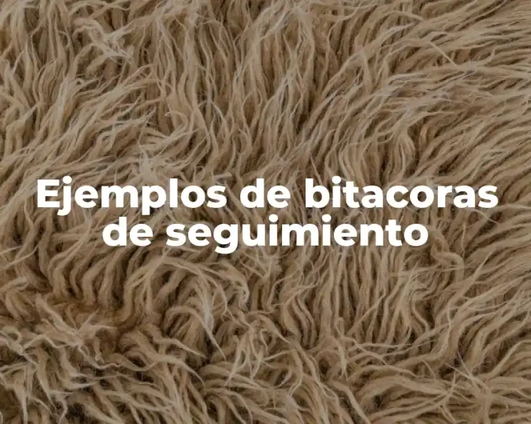 Ejemplos de bitacoras de seguimiento