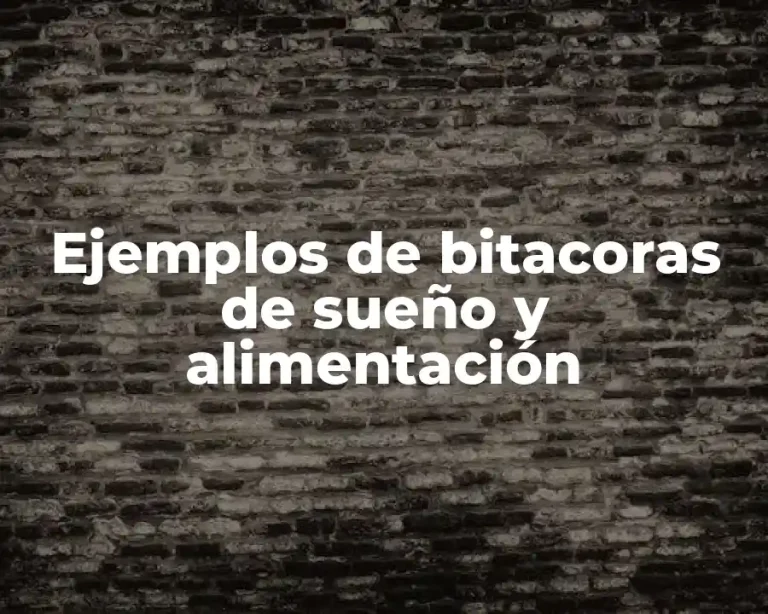 Ejemplos de bitacoras de sueño y alimentación
