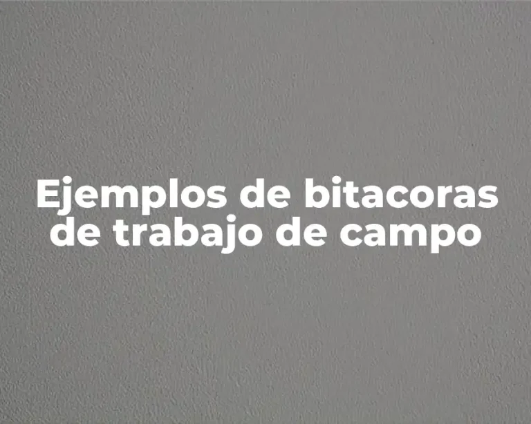 Ejemplos de bitacoras de trabajo de campo