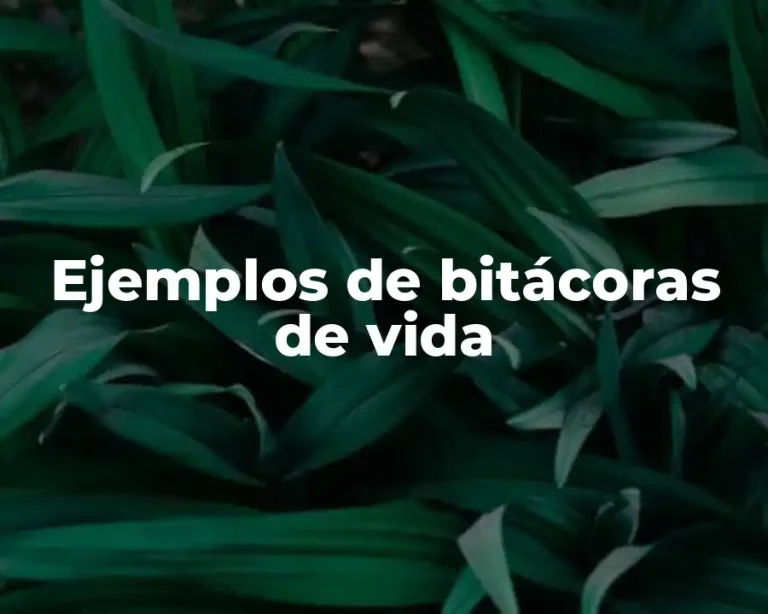 Ejemplos de bitácoras de vida