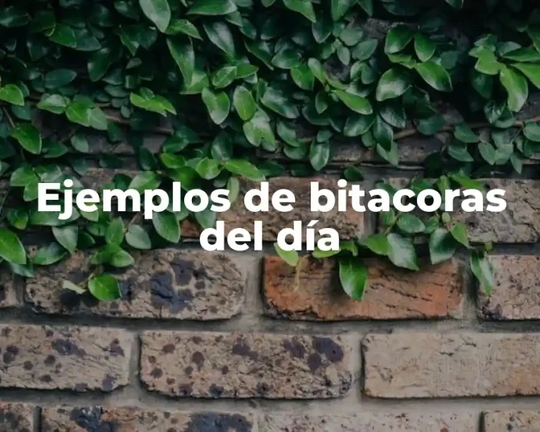 Ejemplos de bitacoras del día