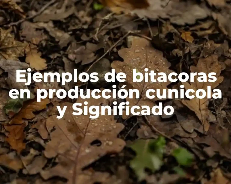Ejemplos de bitacoras en producción cunicola y Significado