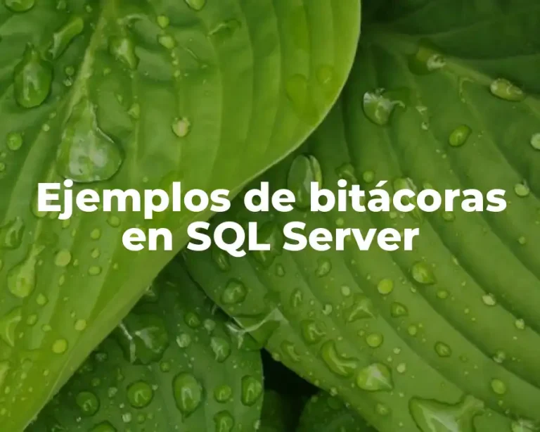Ejemplos de bitácoras en SQL Server