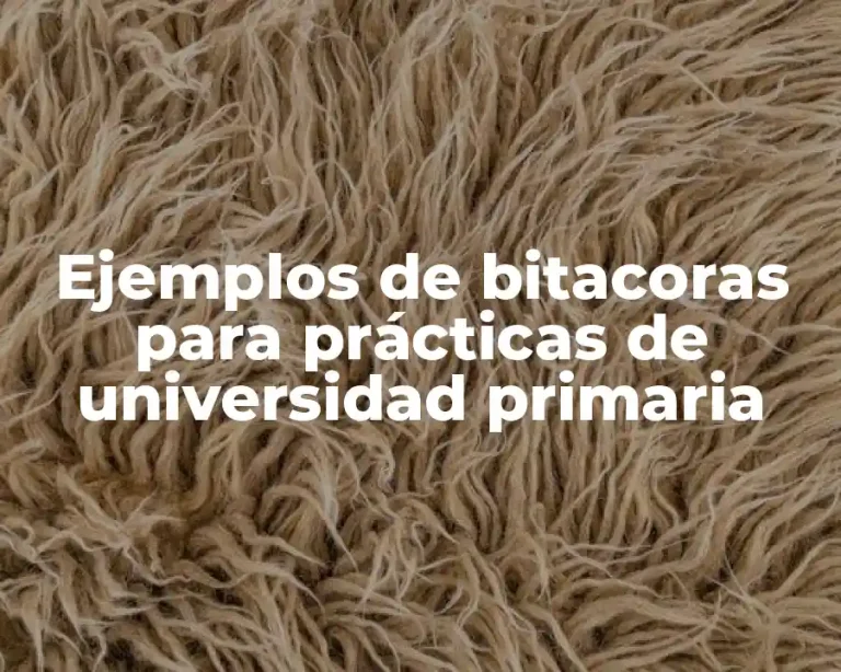 Ejemplos de bitacoras para prácticas de universidad primaria