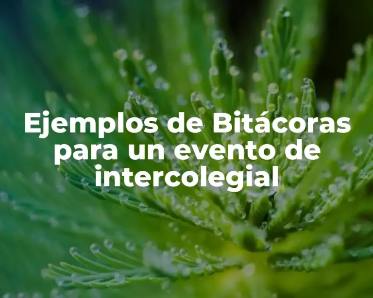 Ejemplos de Bitácoras para un evento de intercolegial