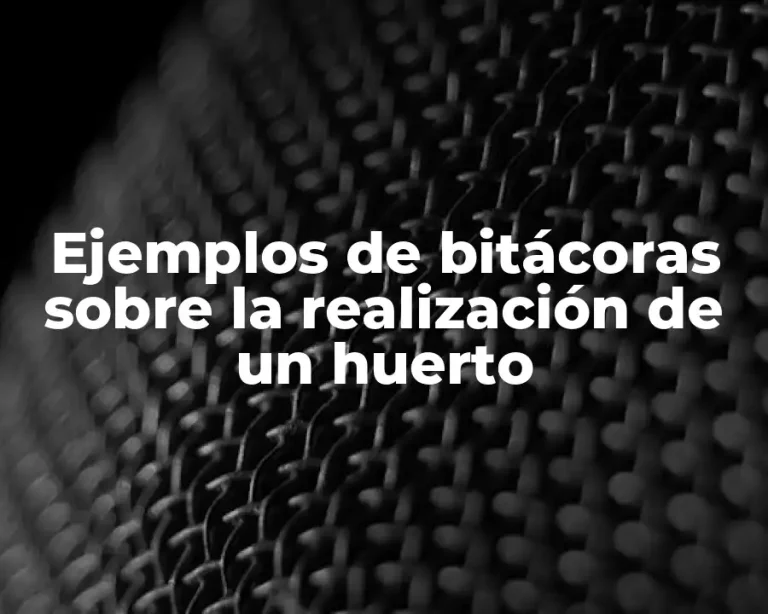 Ejemplos de bitácoras sobre la realización de un huerto