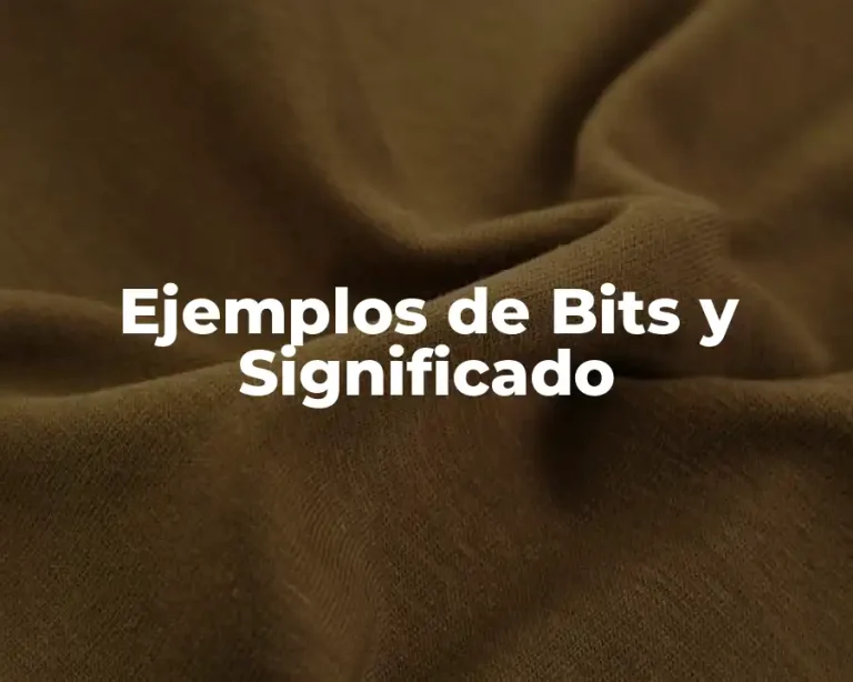 Ejemplos de Bits y Significado
