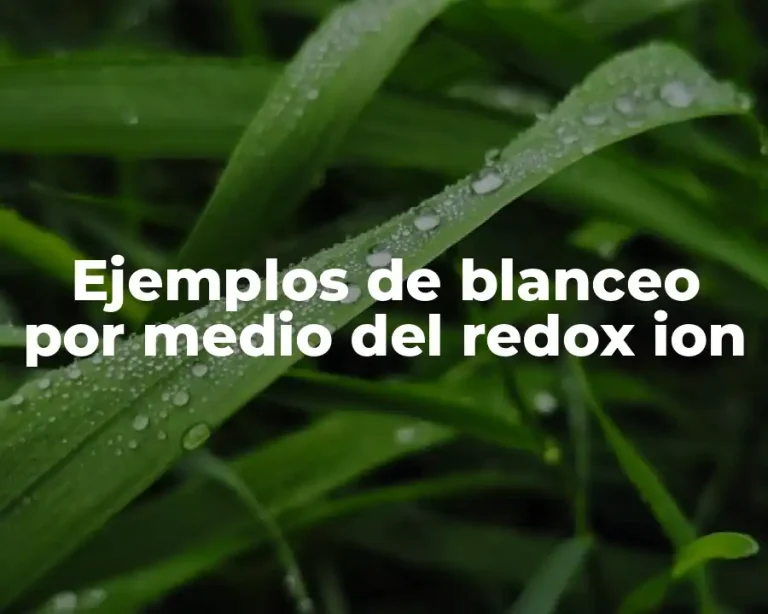 Ejemplos de blanceo por medio del redox ion