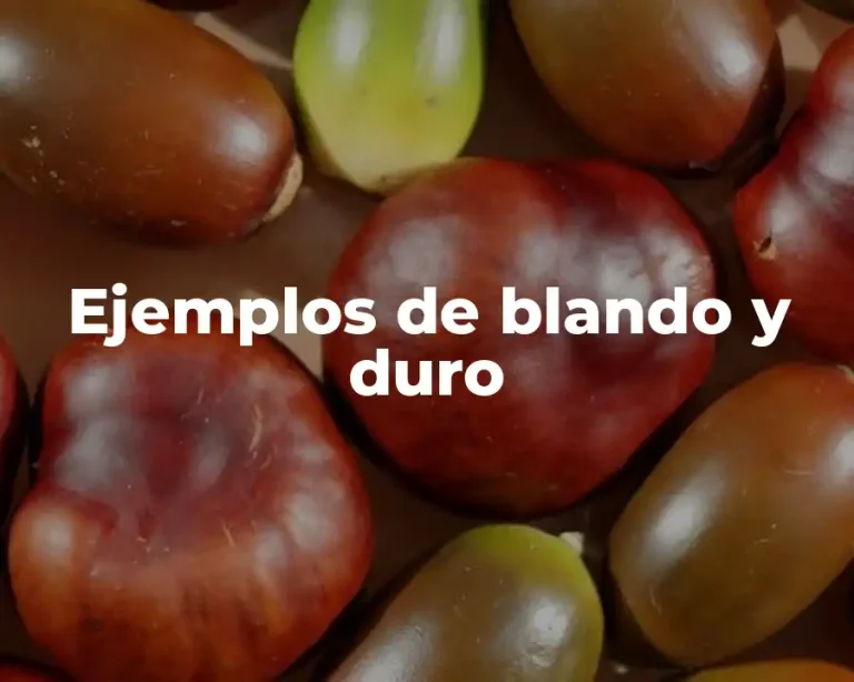 Ejemplos de blando y duro