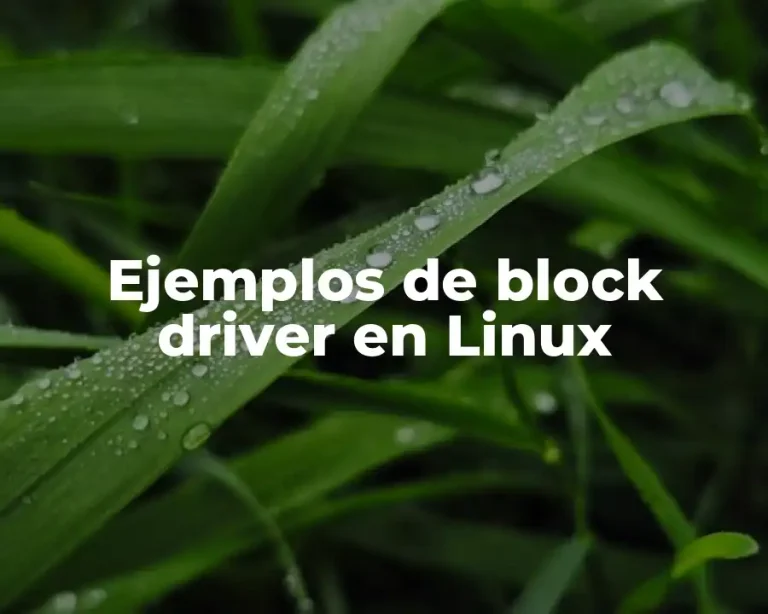Ejemplos de block driver en Linux
