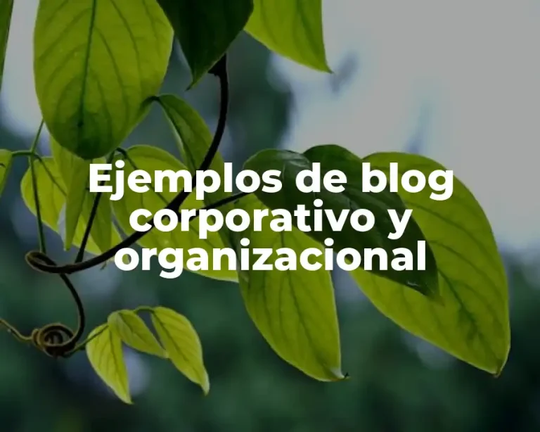 Ejemplos de blog corporativo y organizacional