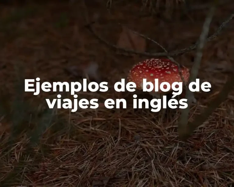 Ejemplos de blog de viajes en inglés