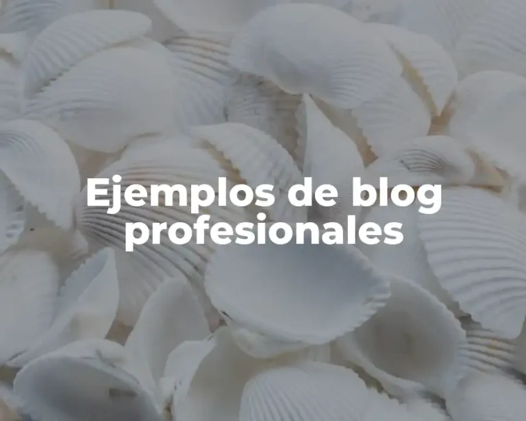 Ejemplos de blog profesionales