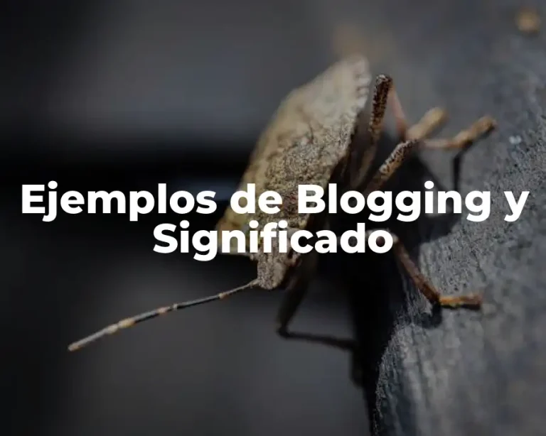 Ejemplos de Blogging y Significado