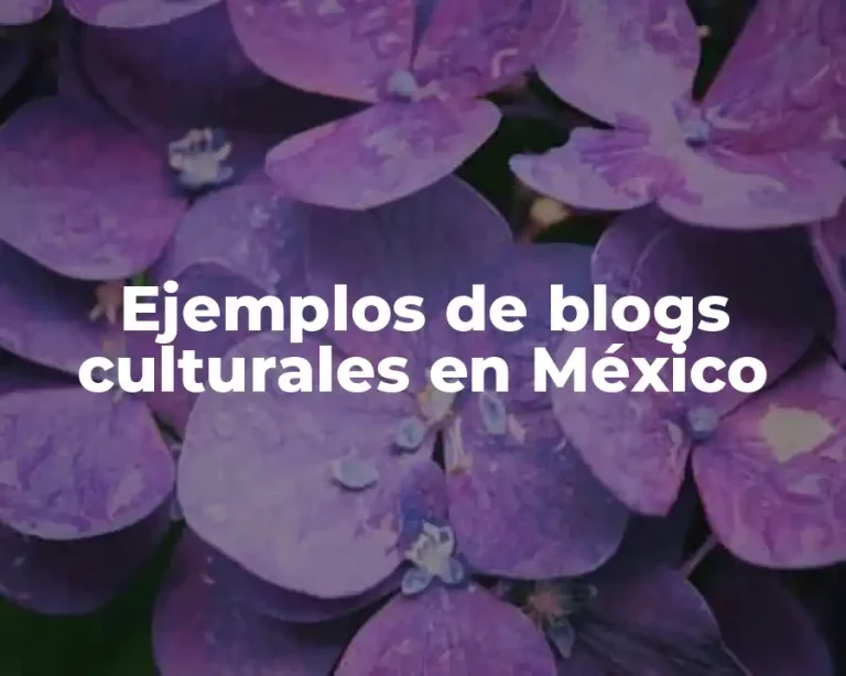 Ejemplos de blogs culturales en México