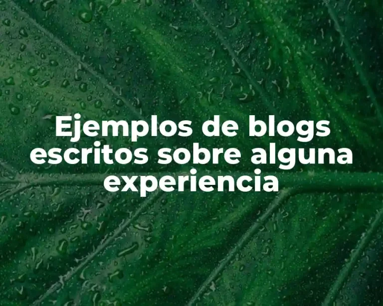 Ejemplos de blogs escritos sobre alguna experiencia