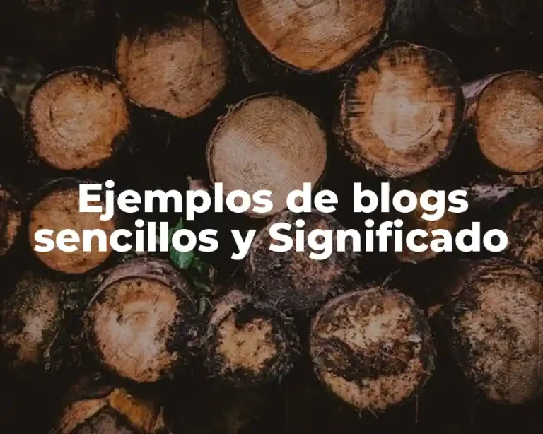 Ejemplos de blogs sencillos y Significado