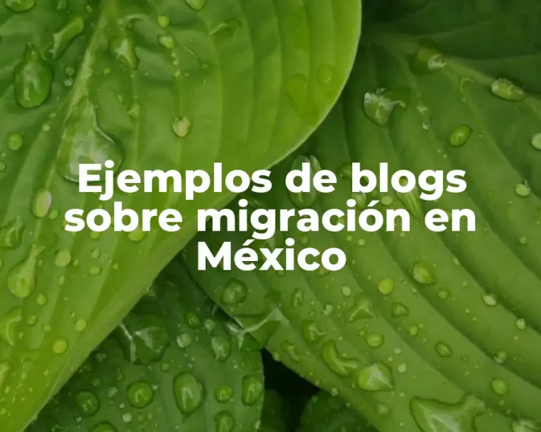 Ejemplos de blogs sobre migración en México