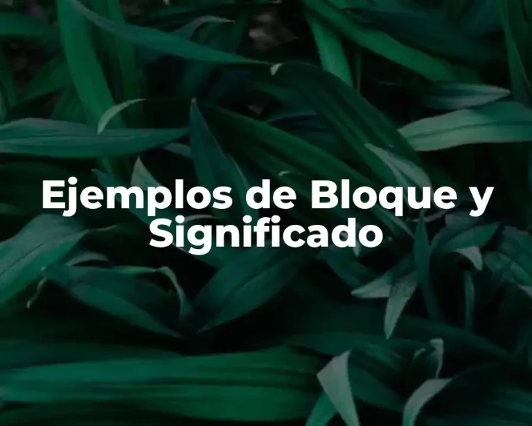 Ejemplos de Bloque y Significado