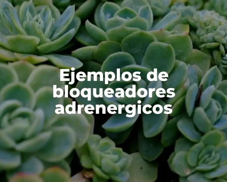 Ejemplos de bloqueadores adrenergicos