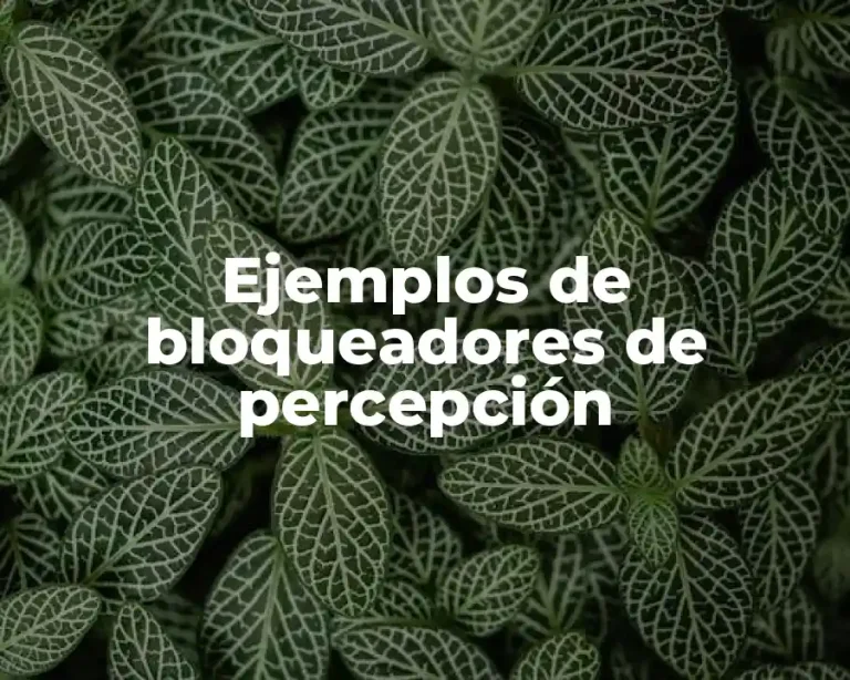 Ejemplos de bloqueadores de percepción