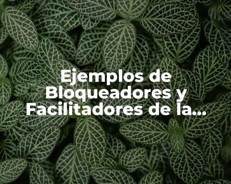 Ejemplos de Bloqueadores y Facilitadores de la Percepción