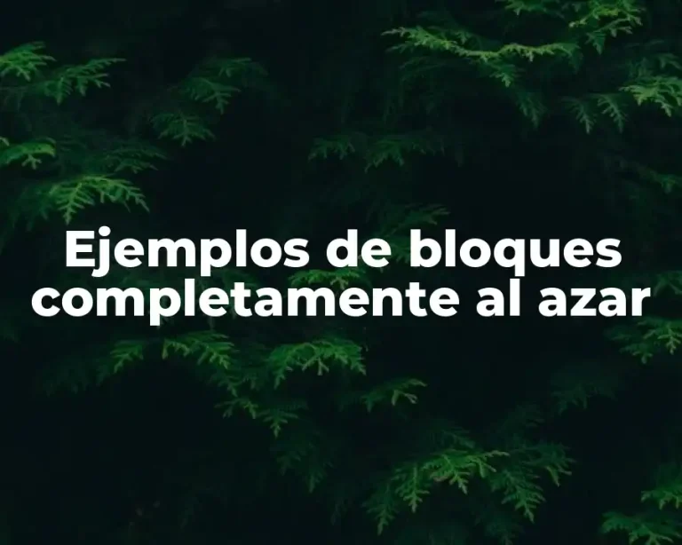 Ejemplos de bloques completamente al azar