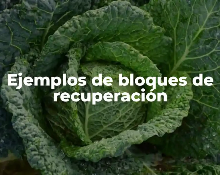 Ejemplos de bloques de recuperación