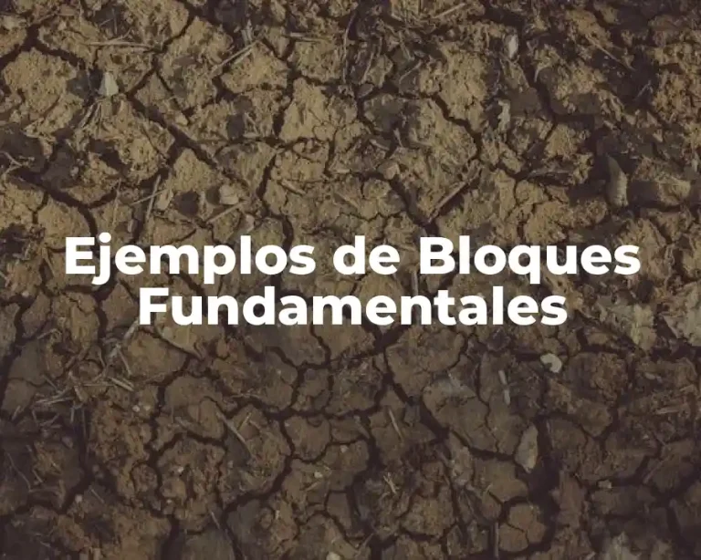 Ejemplos de Bloques Fundamentales