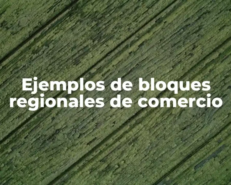 Ejemplos de bloques regionales de comercio