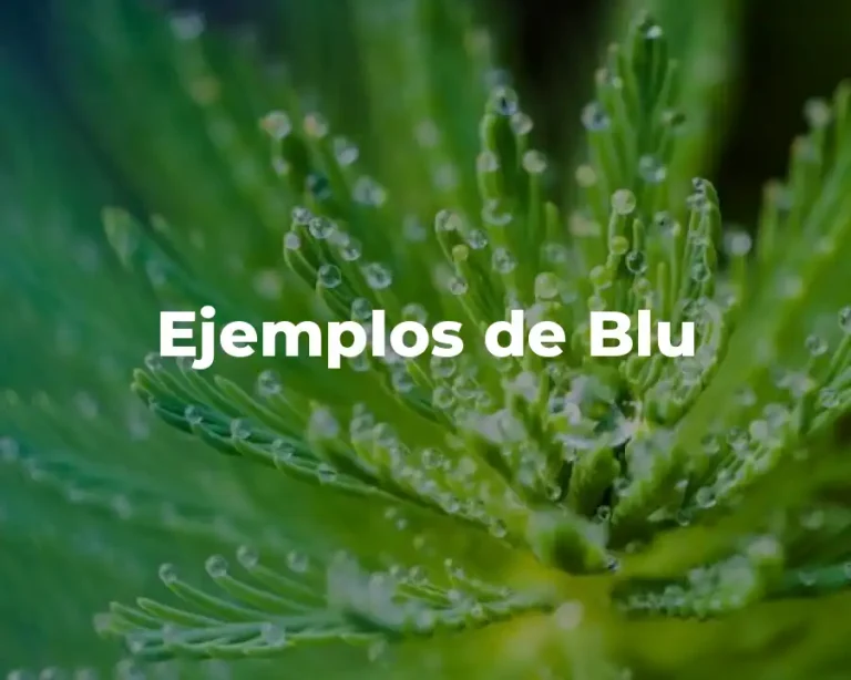 Ejemplos de Blu