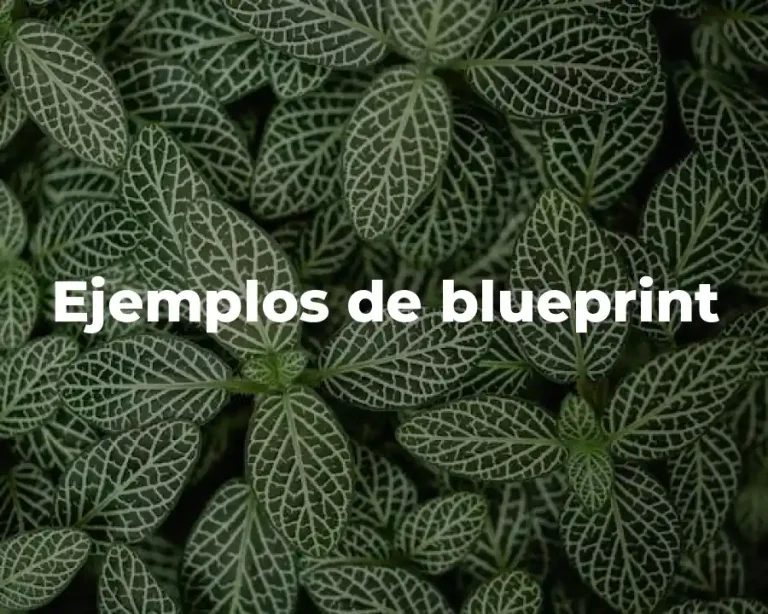 Ejemplos de blueprint