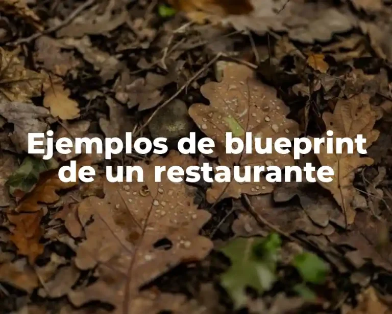 Ejemplos de blueprint de un restaurante