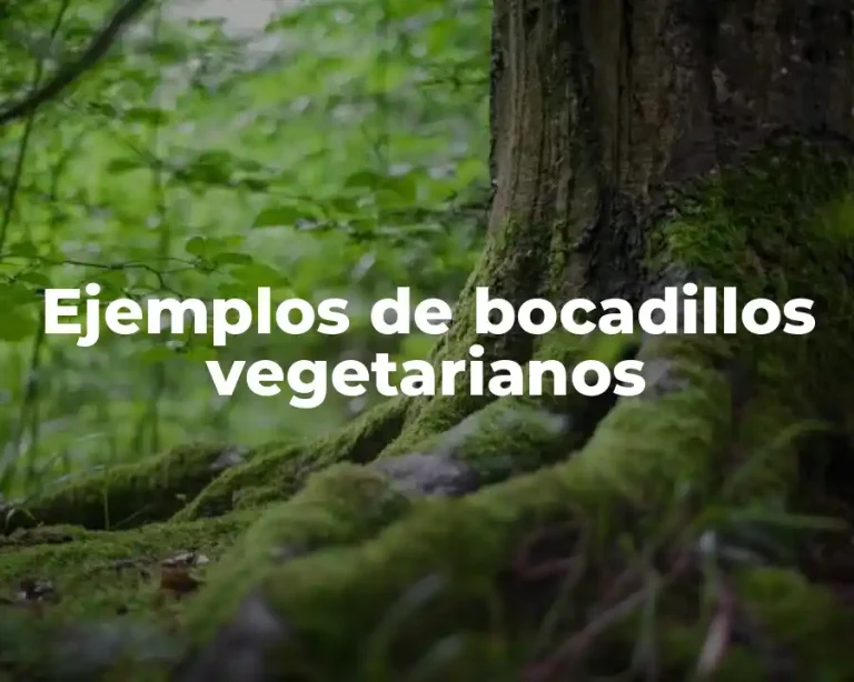 Ejemplos de bocadillos vegetarianos