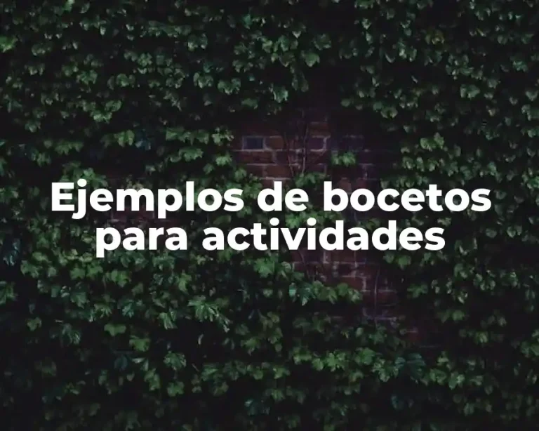 Ejemplos de bocetos para actividades