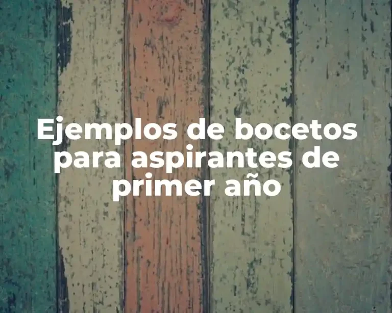 Ejemplos de bocetos para aspirantes de primer año