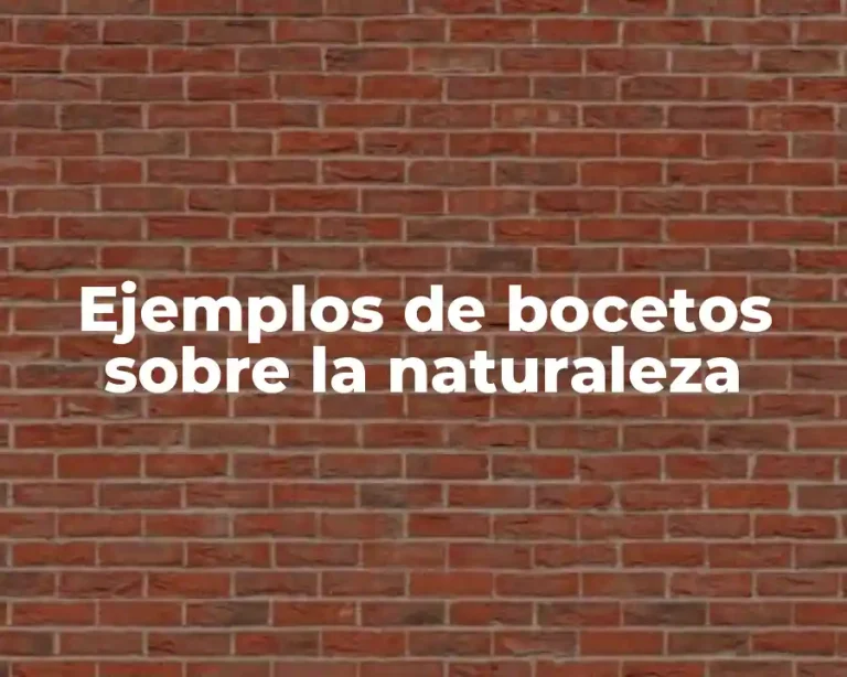 Ejemplos de bocetos sobre la naturaleza