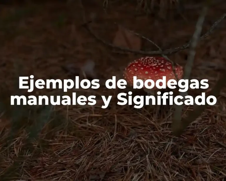 Ejemplos de bodegas manuales y Significado